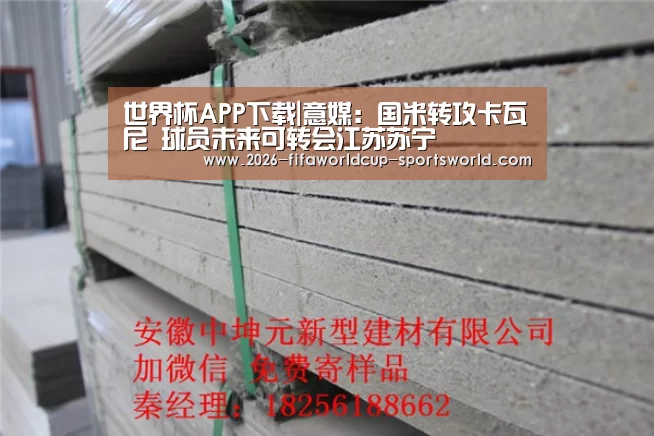 世界杯APP下载|意媒:国米转攻卡瓦尼 球员未来可转会江苏苏宁(图4) 世界杯热门赛事